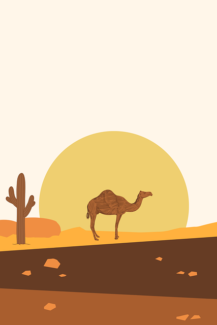 camel-8620974_640.png