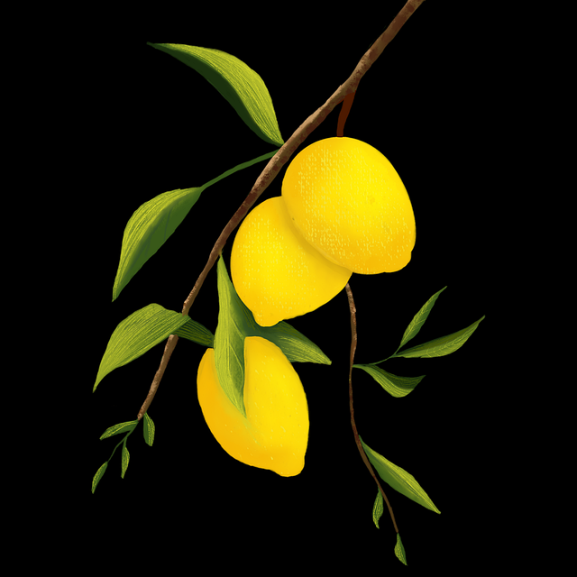 2022-08 海角社区app下载幕后揭秘：沉浸体验最新动态