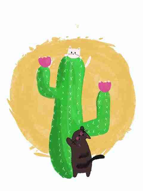 麻豆app官网上手指南全网热议榜，玩法解析全流程