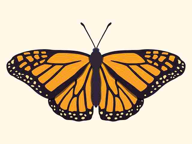 实战攻略:91大事件、91爆料——速成宝典Plus,91任务