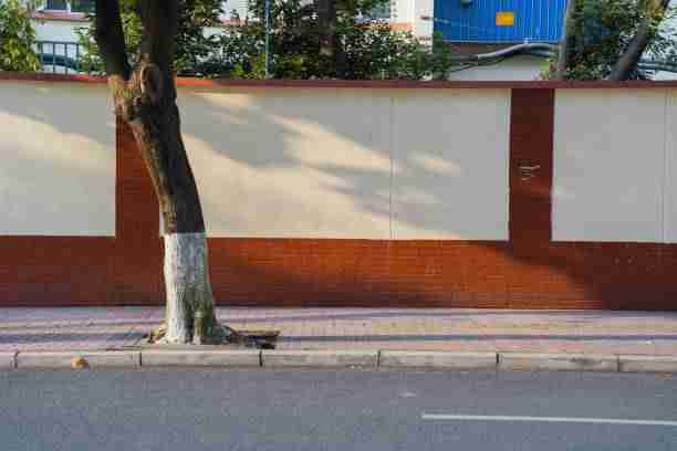 汤头条在线观看深度复盘背后的社交热度速览