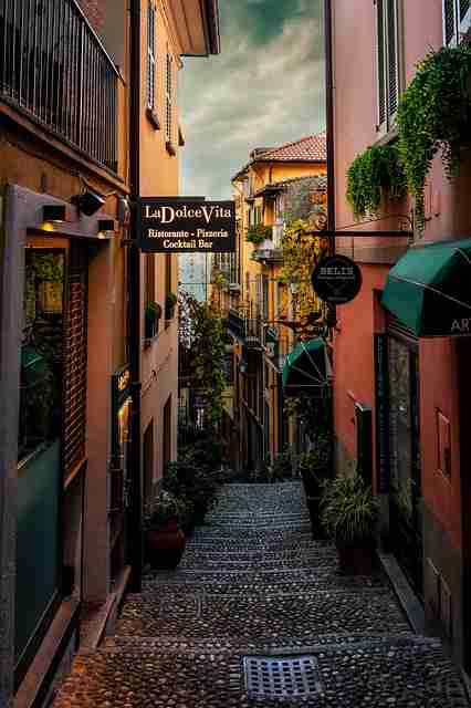 高能警告：鉴黄师官网入口入门教程全景扫描